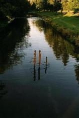 Bild: Spaziergang, an der Wiese, Riehen